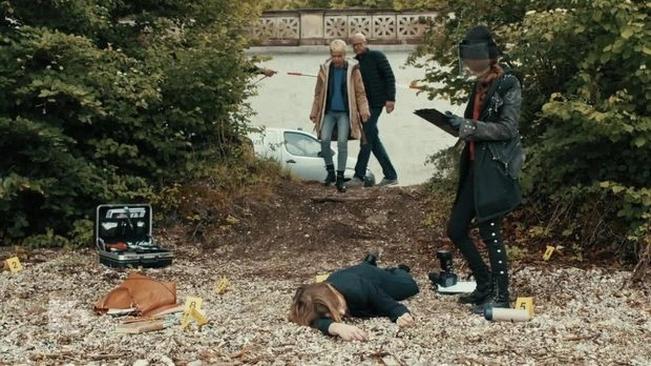 K11 - Die neuen Fälle