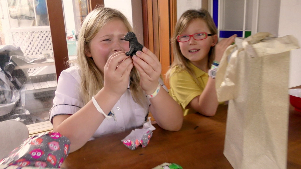 My Year 7 Life