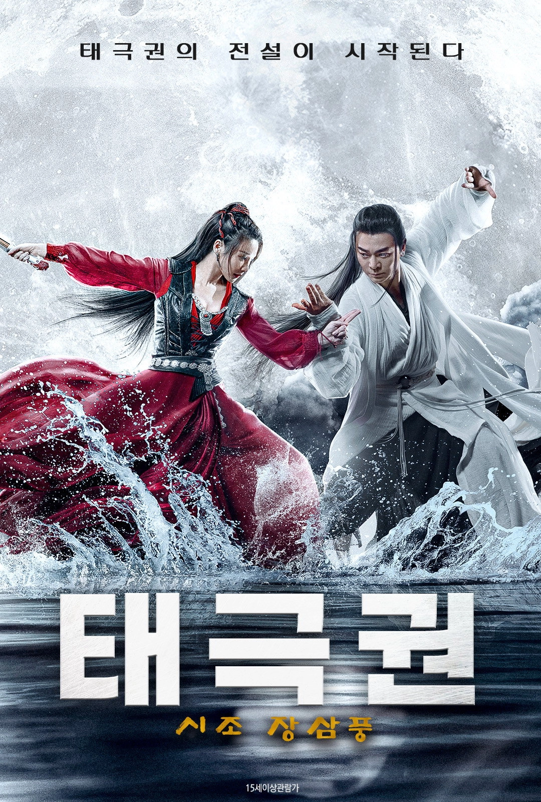 The Tai Chi Master