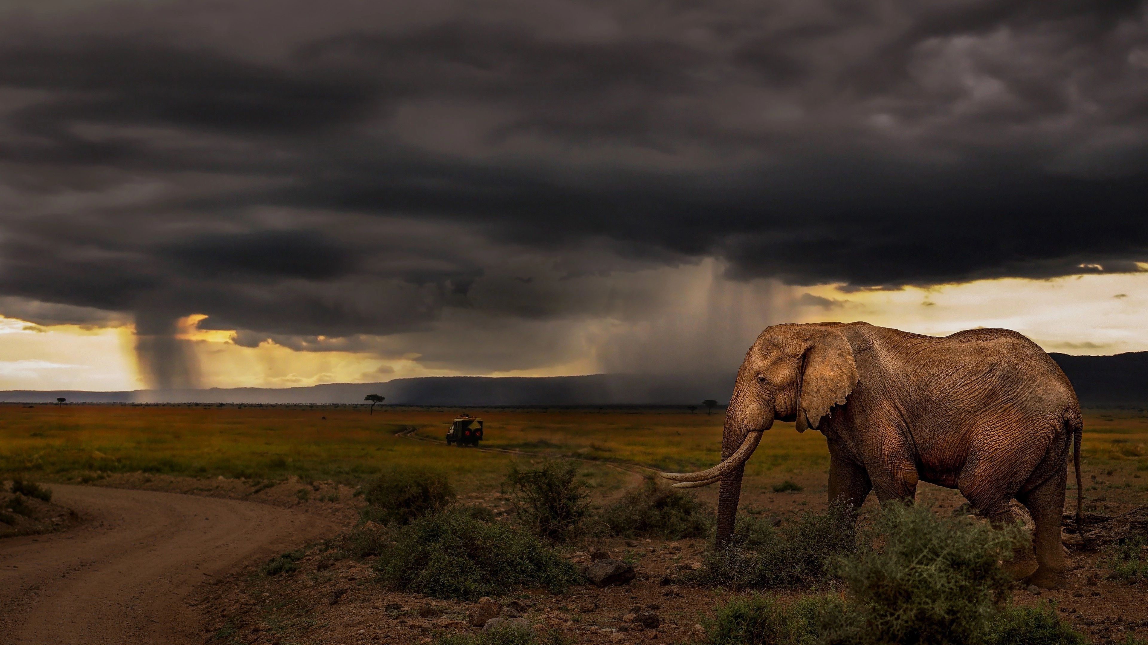 Chasing the Rains