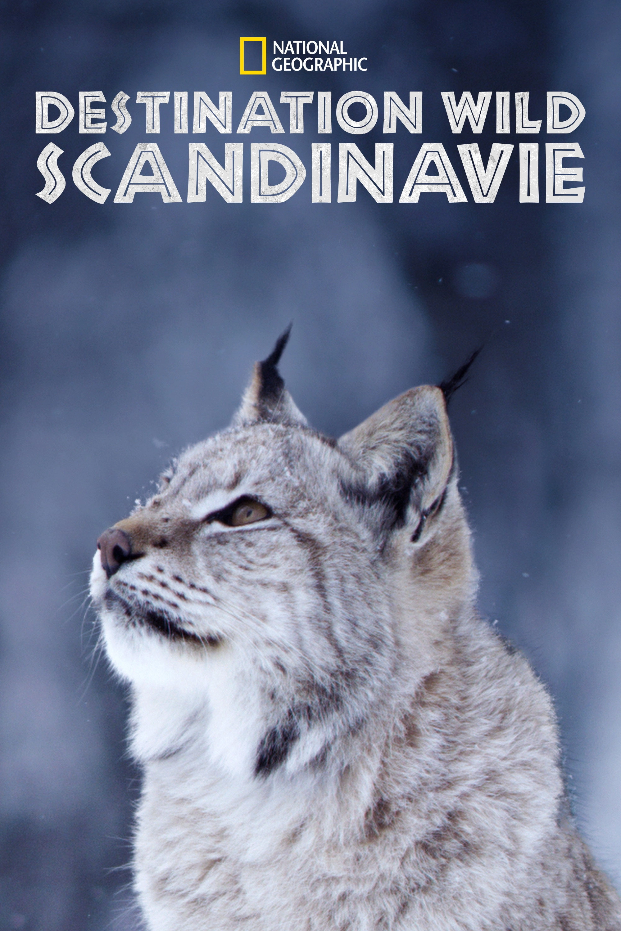 Wild Nordic