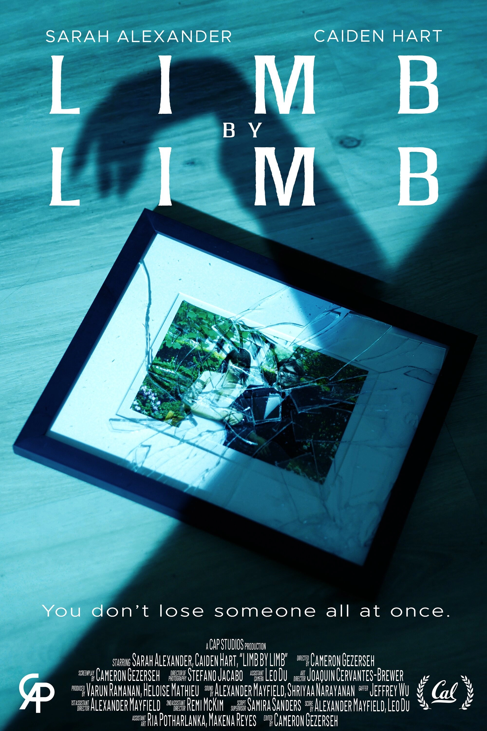 Limb by Limb
