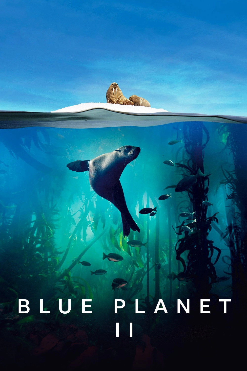 Blue Planet II