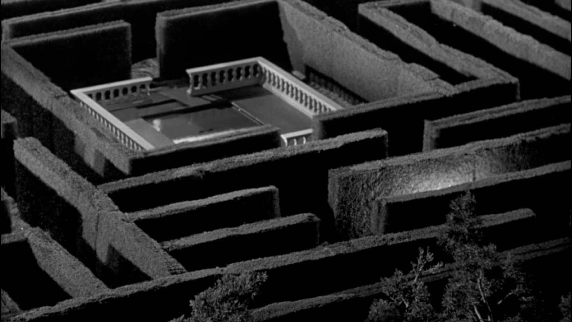 The Maze