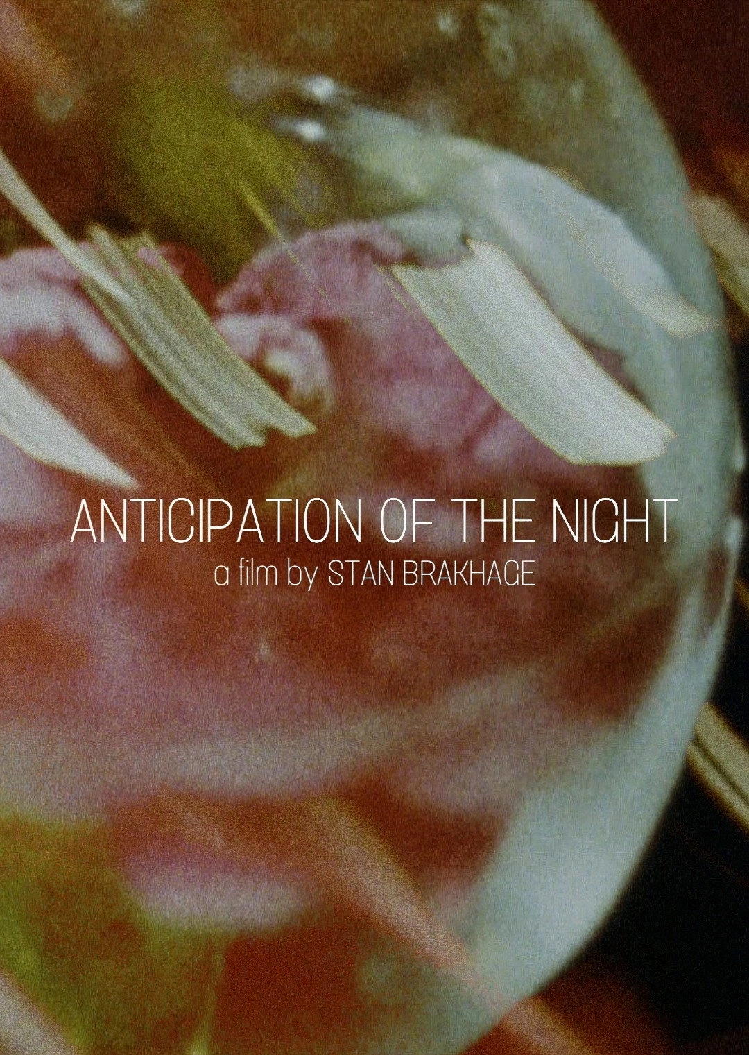 Anticipation of the Night
