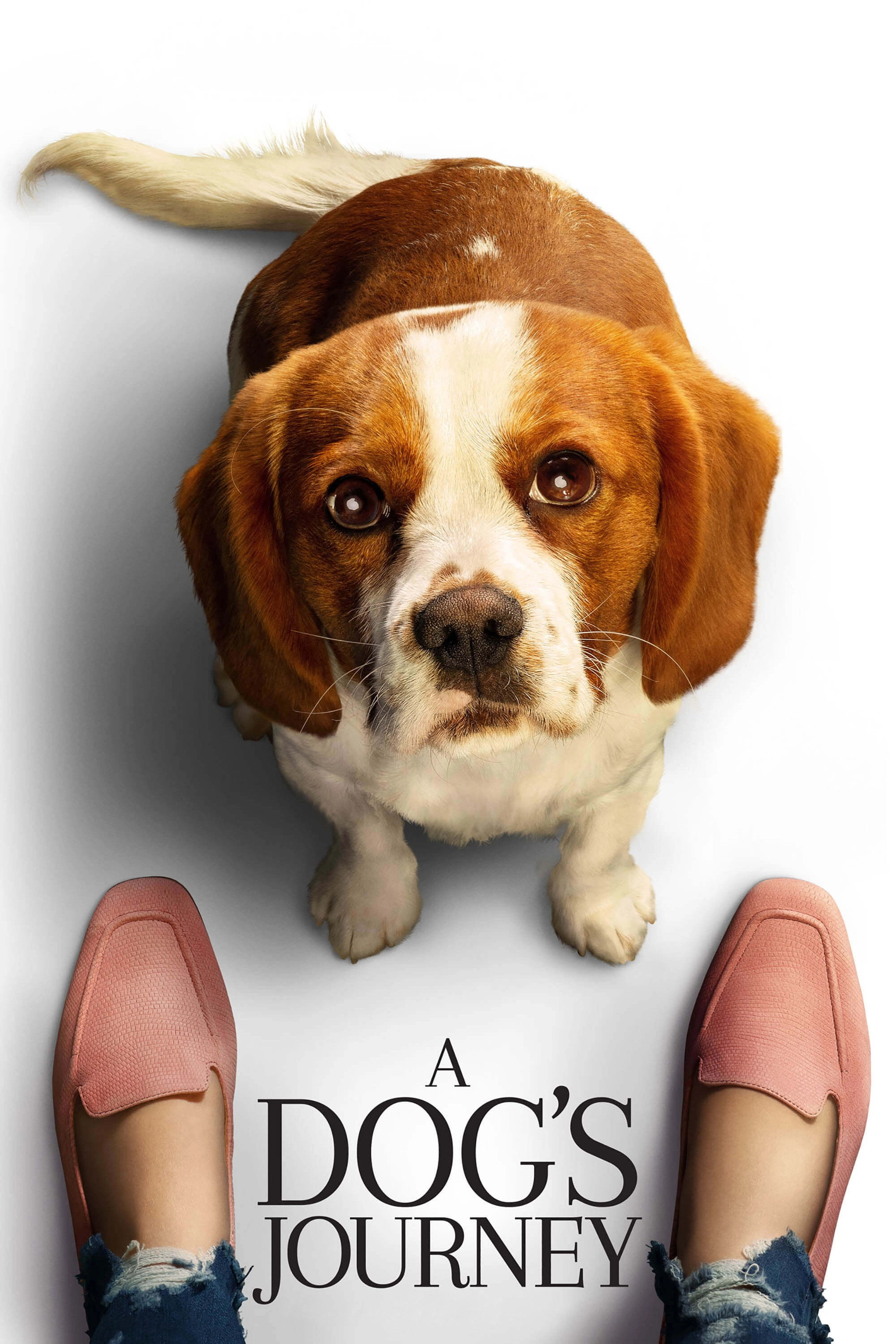 A Dog's Journey