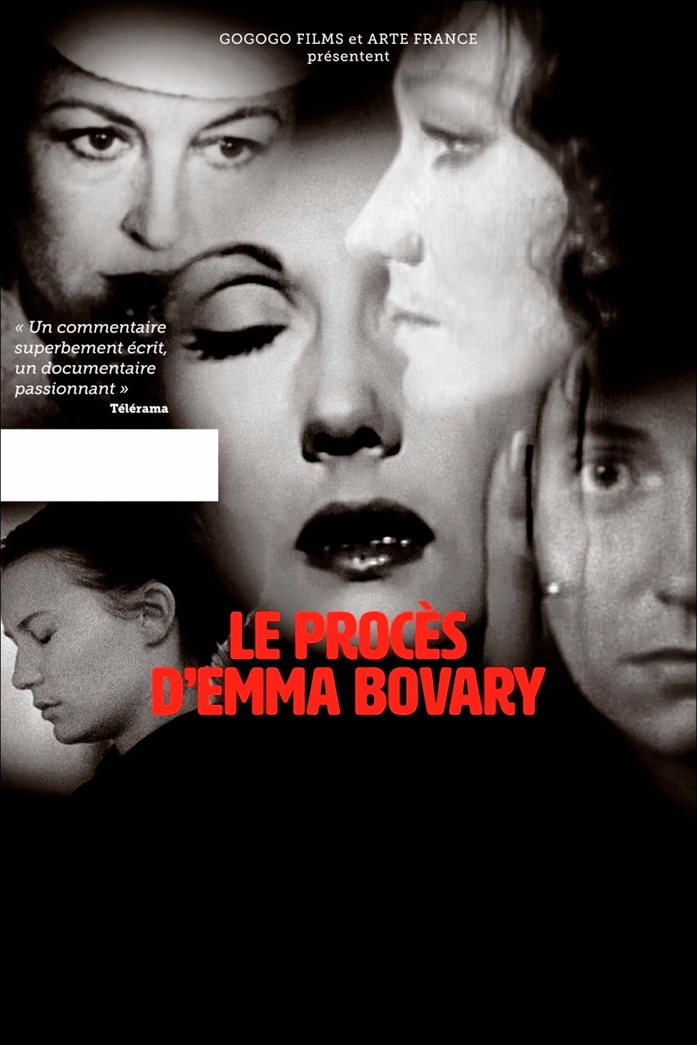 The Emma Bovary Trial
