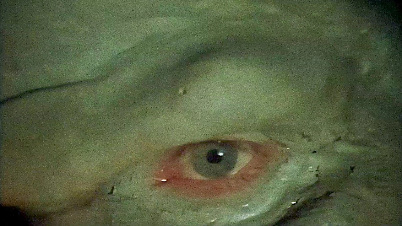 The Thing in the Basement
