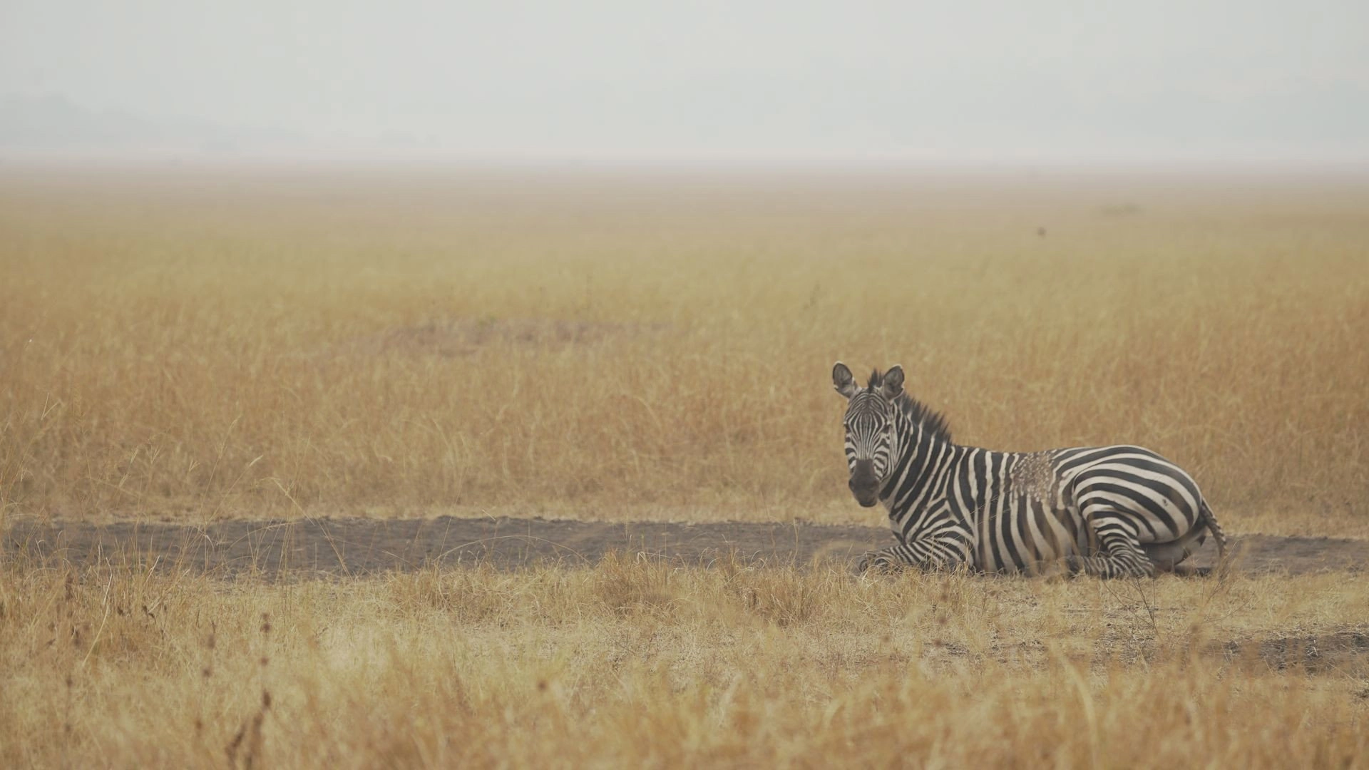 Africa's Hidden Wonders