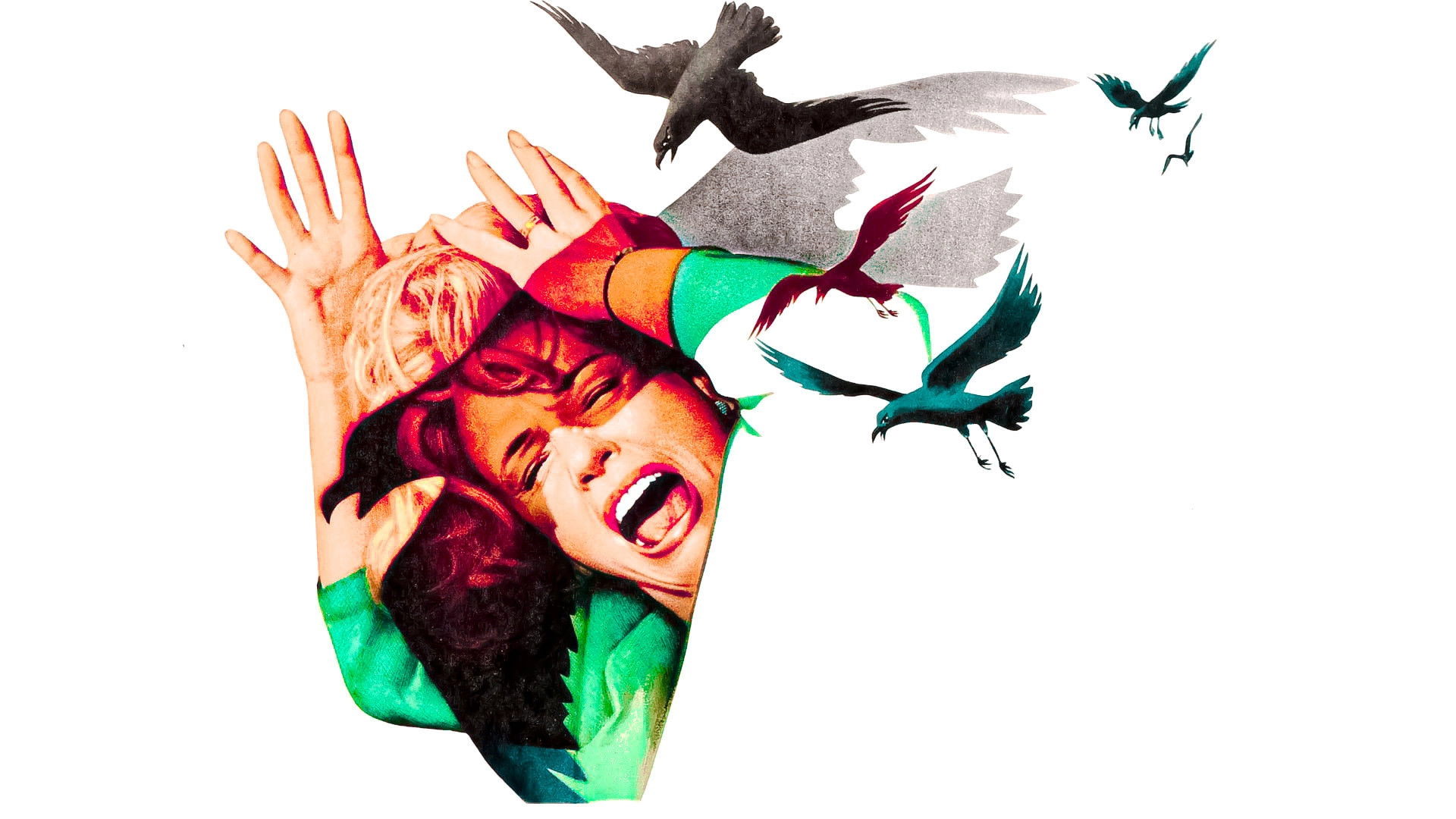 The Birds