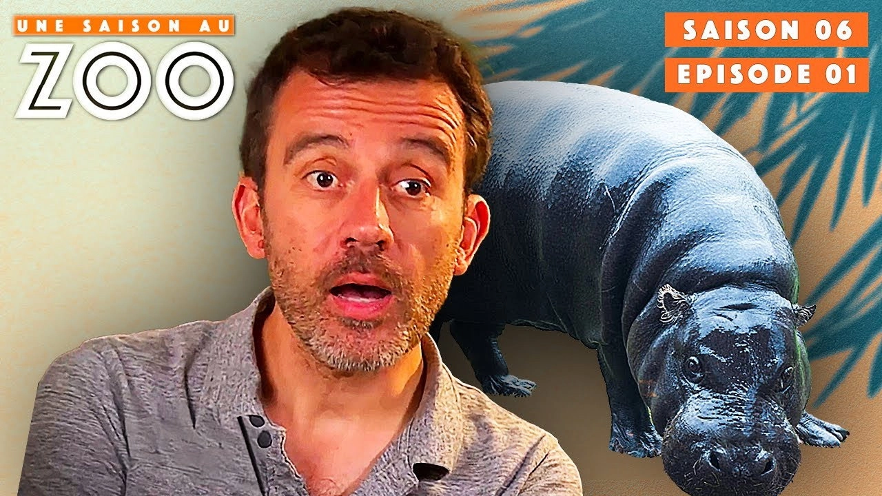 Une saison au zoo