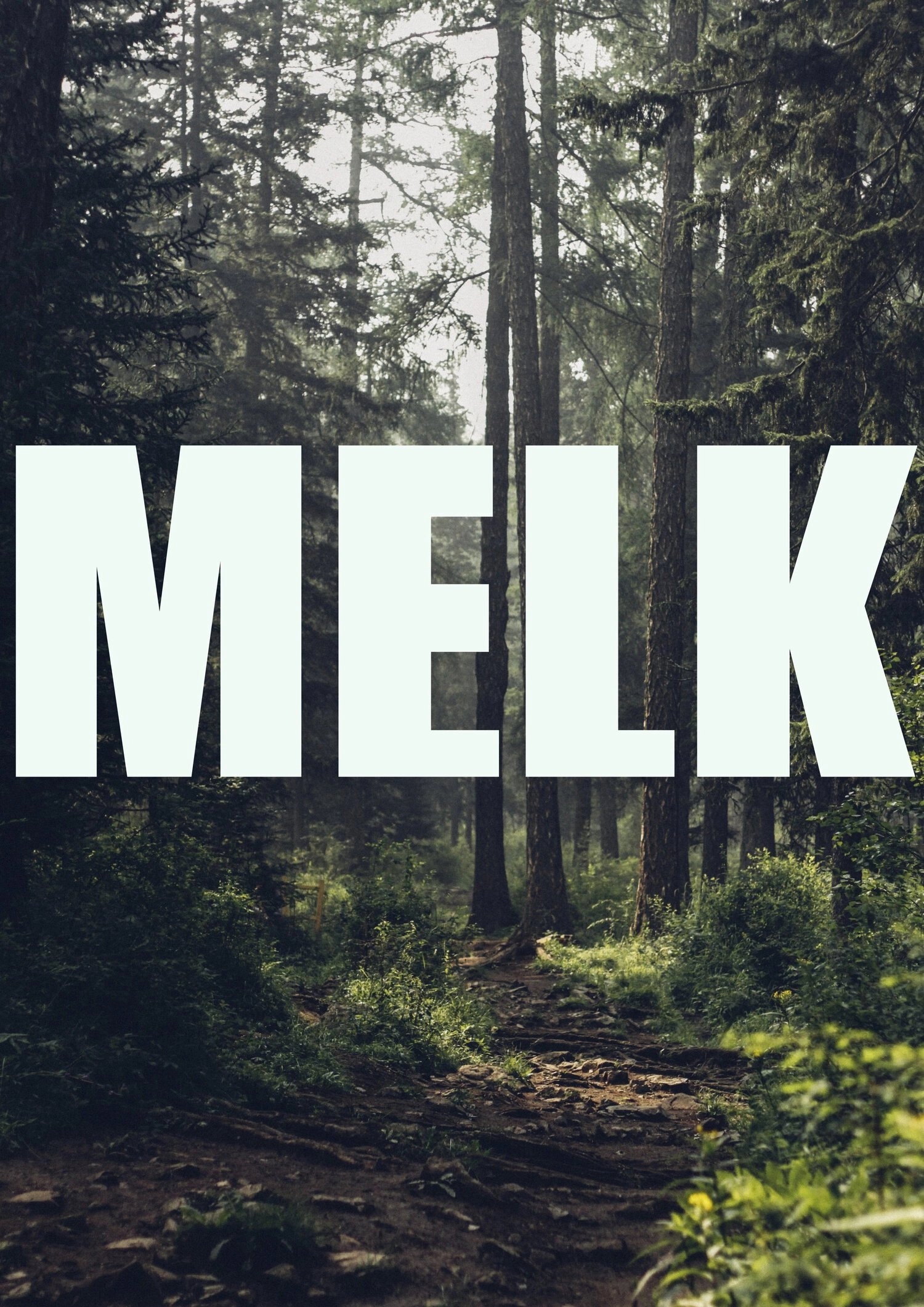 Milk