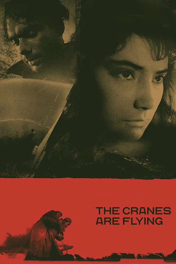 The Cranes Are Flying