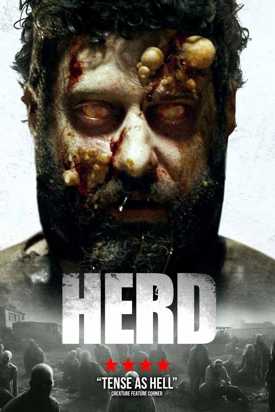 Herd