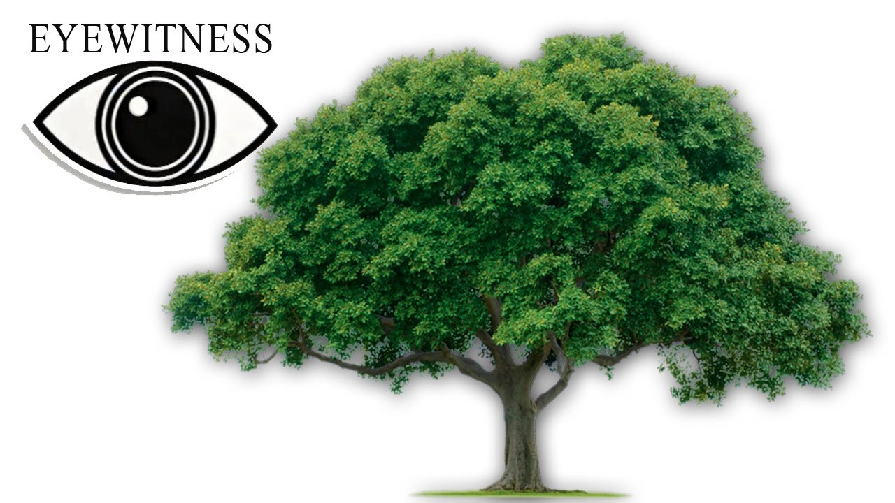 Eyewitness