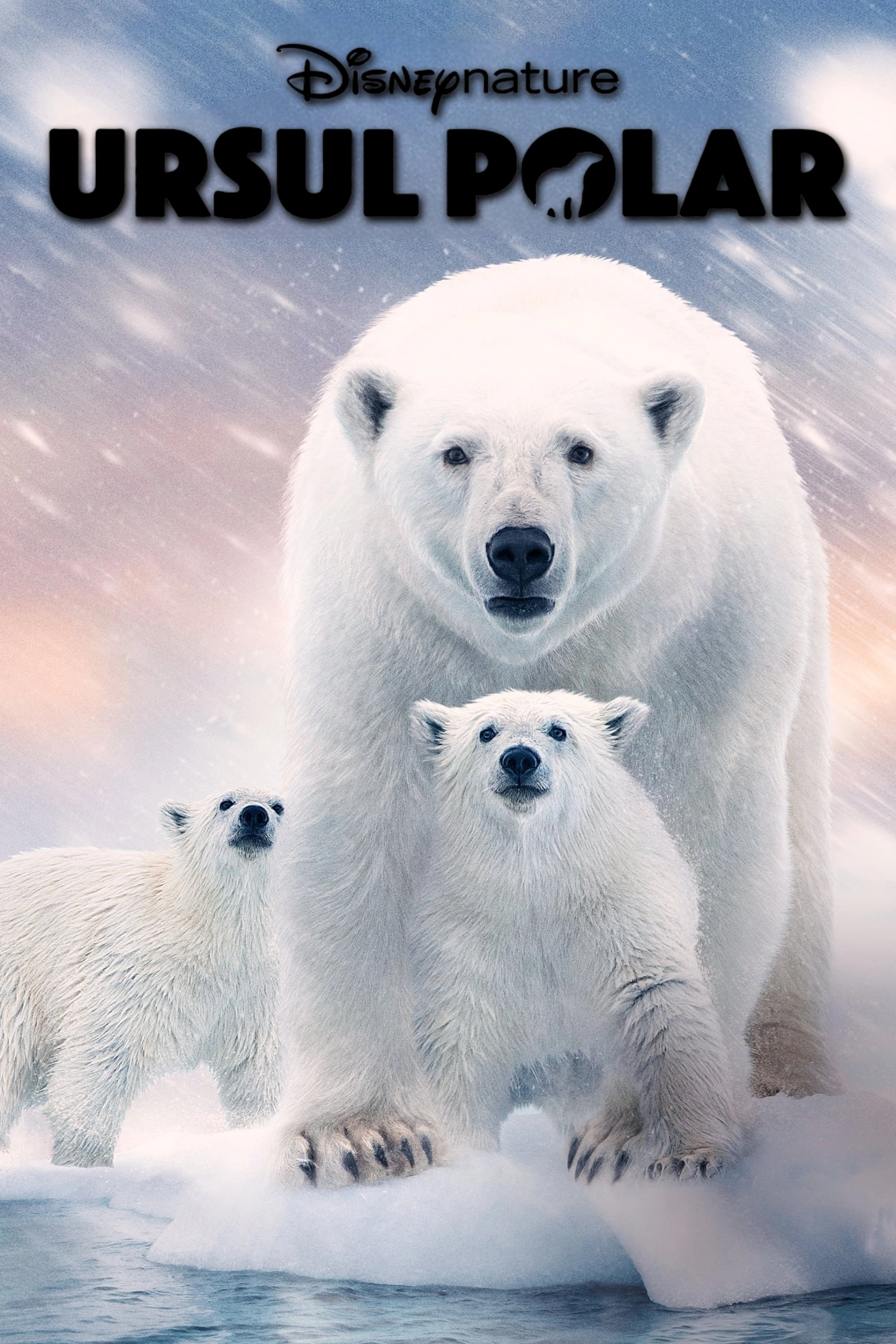 Polar Bear