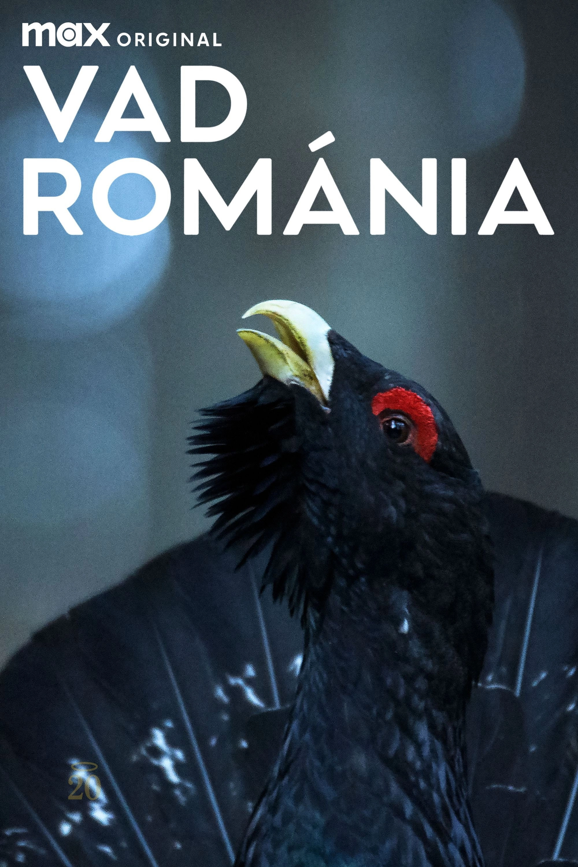 Wild Romania