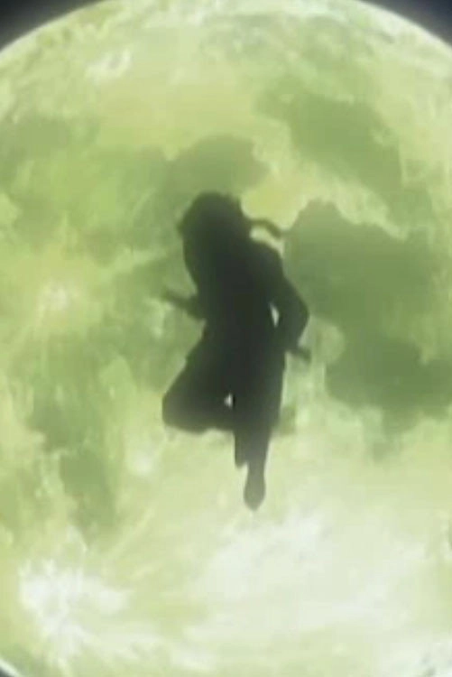 Shinshaku Sengoku Eiyuu Densetsu Sanada Juu Yuushi The Animation