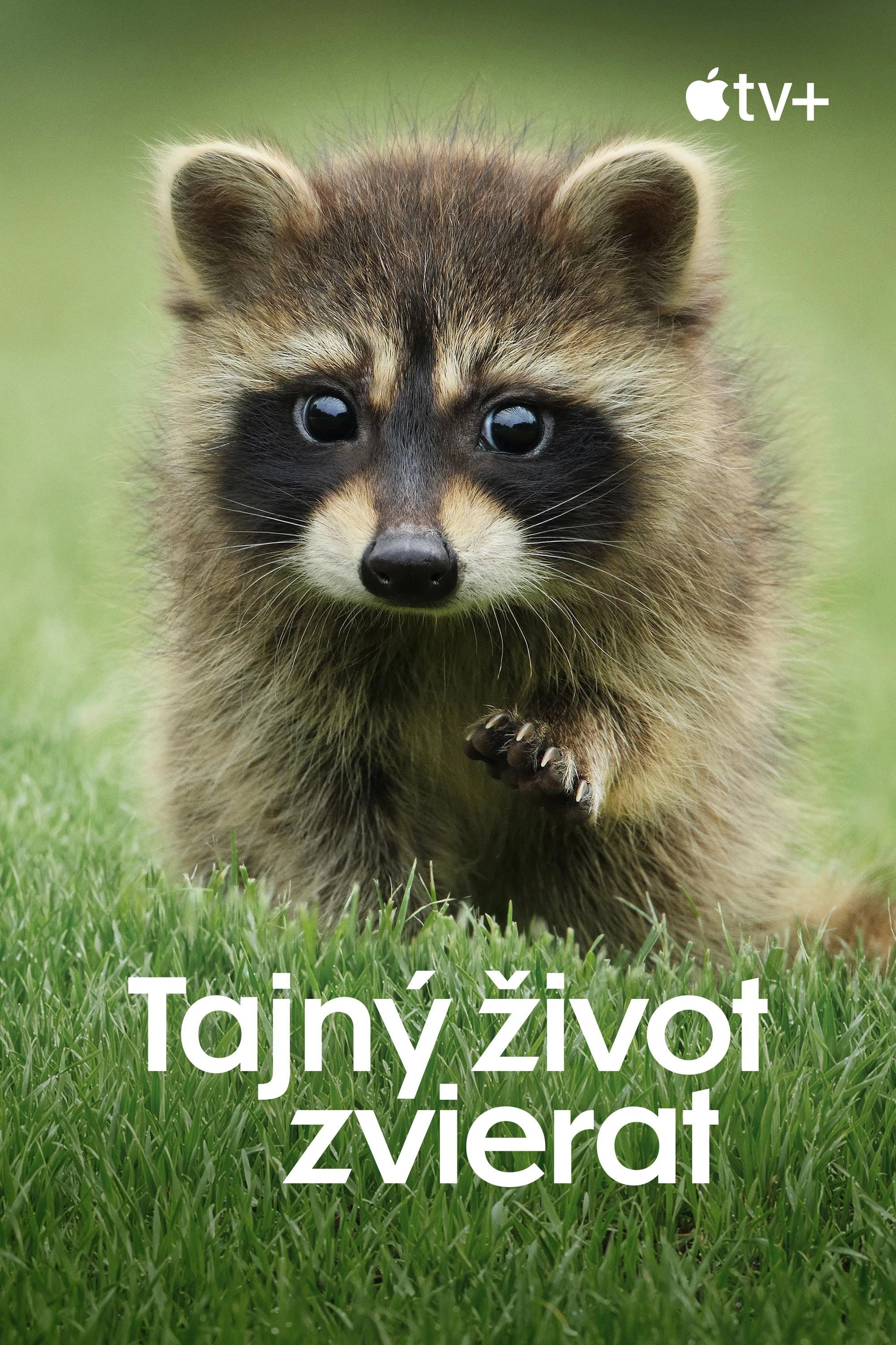 The Secret Lives of Animals