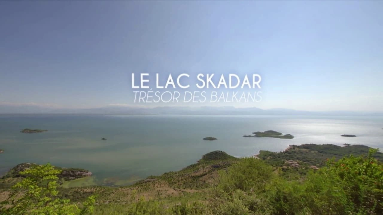 Secret Life of Lakes