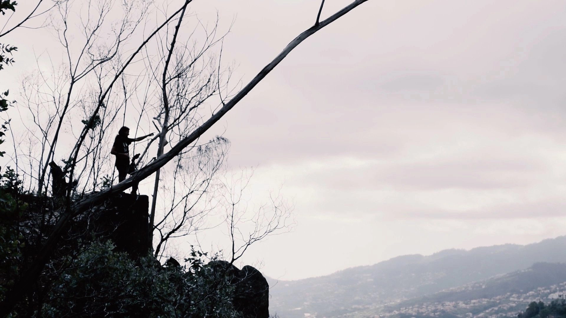 Melodies of a Mute Life