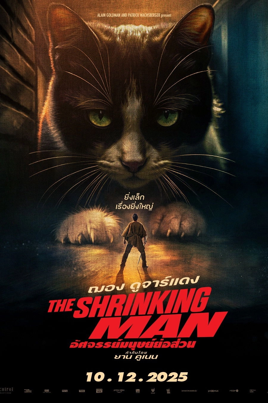 The Shrinking Man