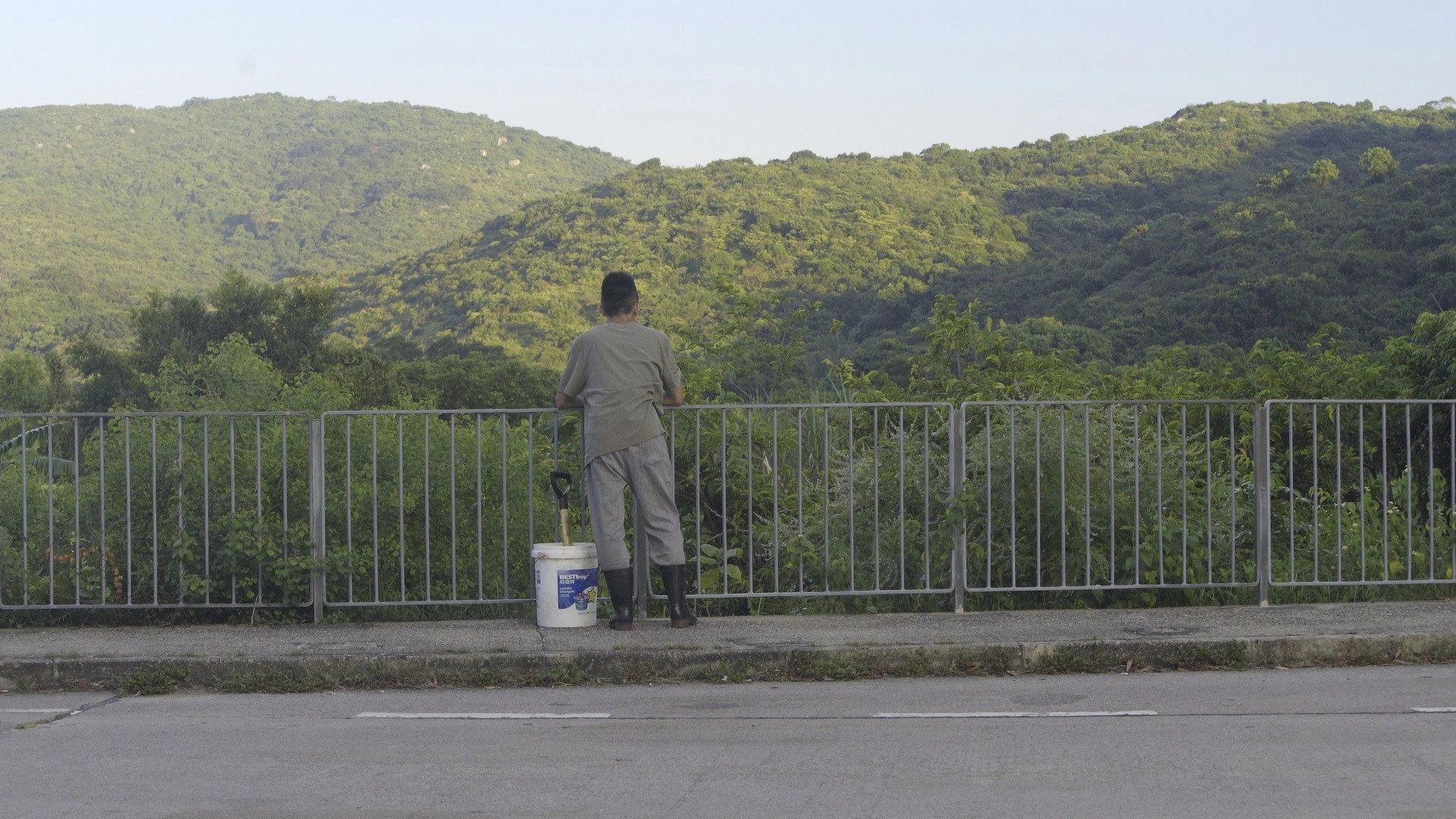 The Cow Caretaker