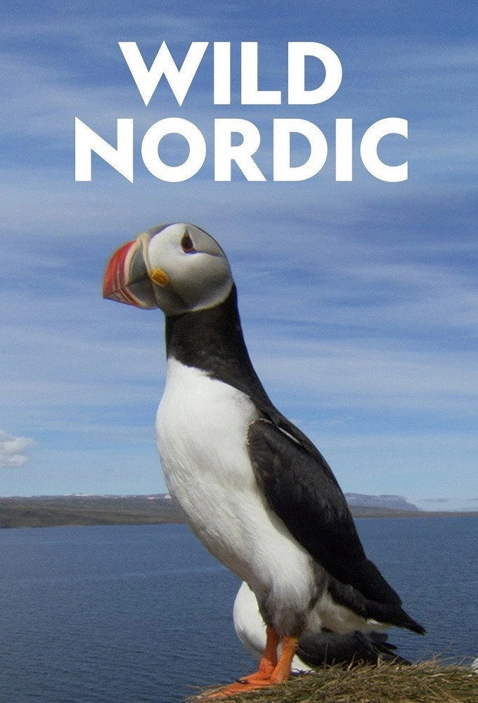 Wild Nordic