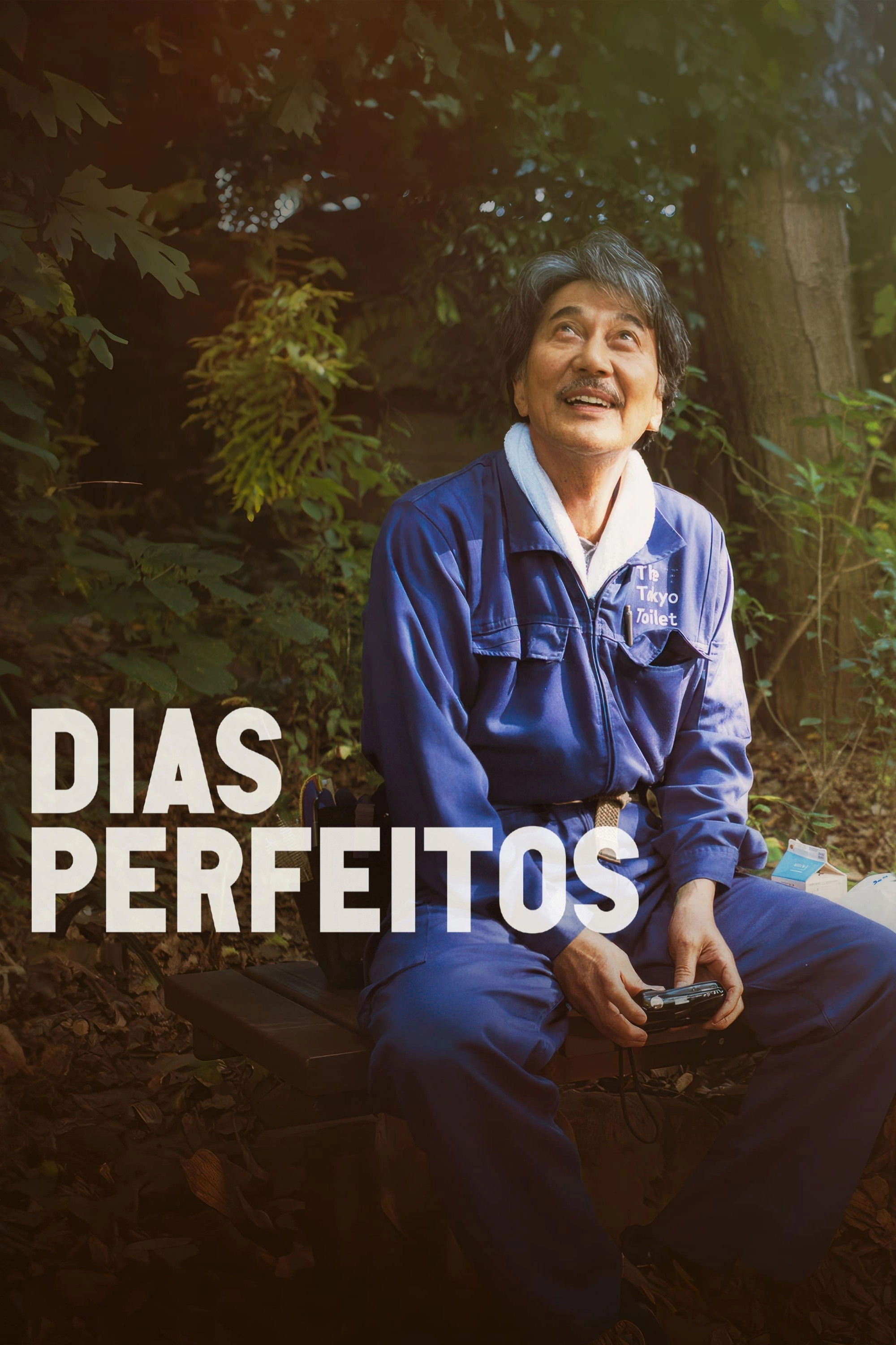 Perfect Days