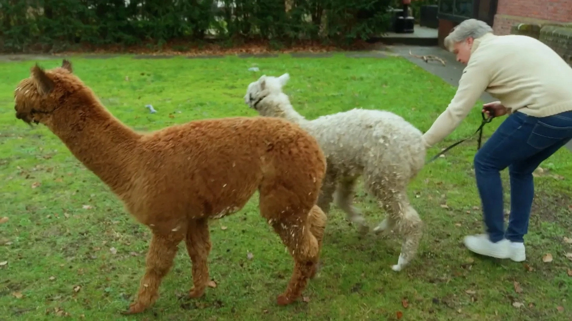 The Complete Story of Jirocho Shimizu, Part 2: Ashura's Revenge
