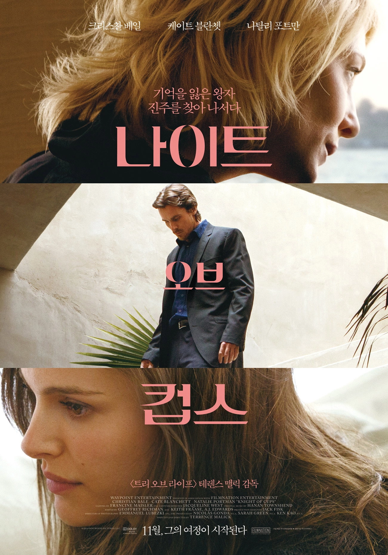 Knight of Cups