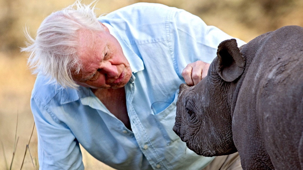 Africa
