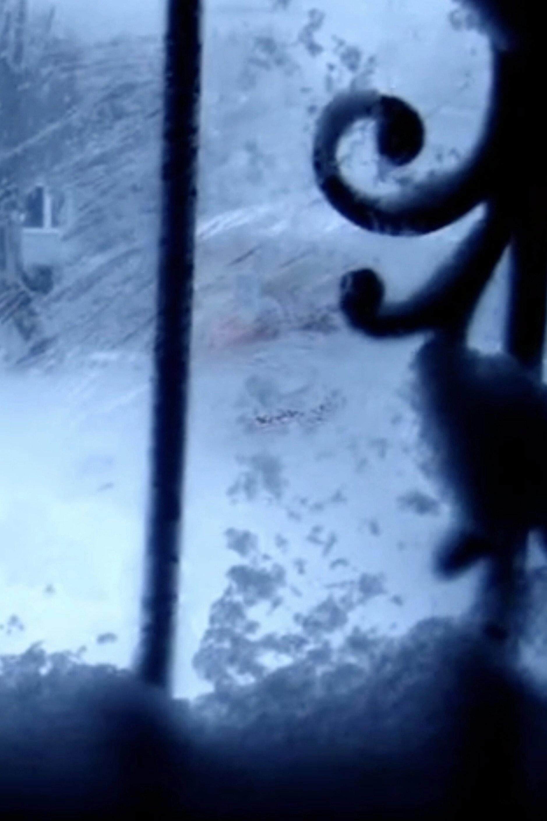 Blizzard