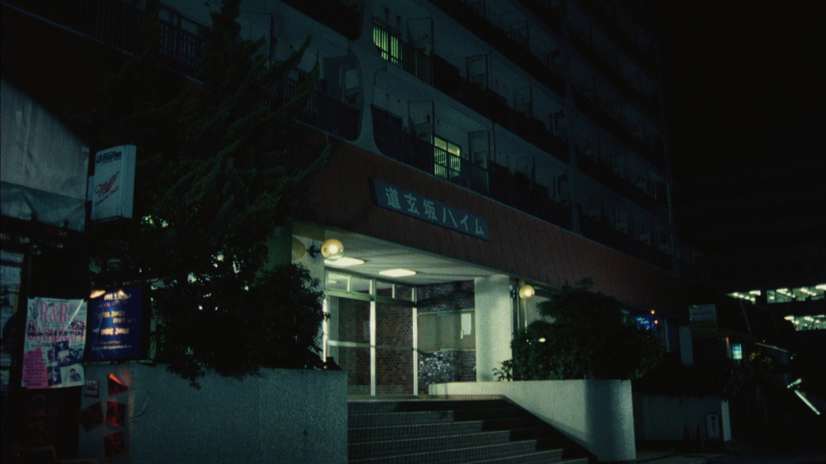 A New Love in Tokyo