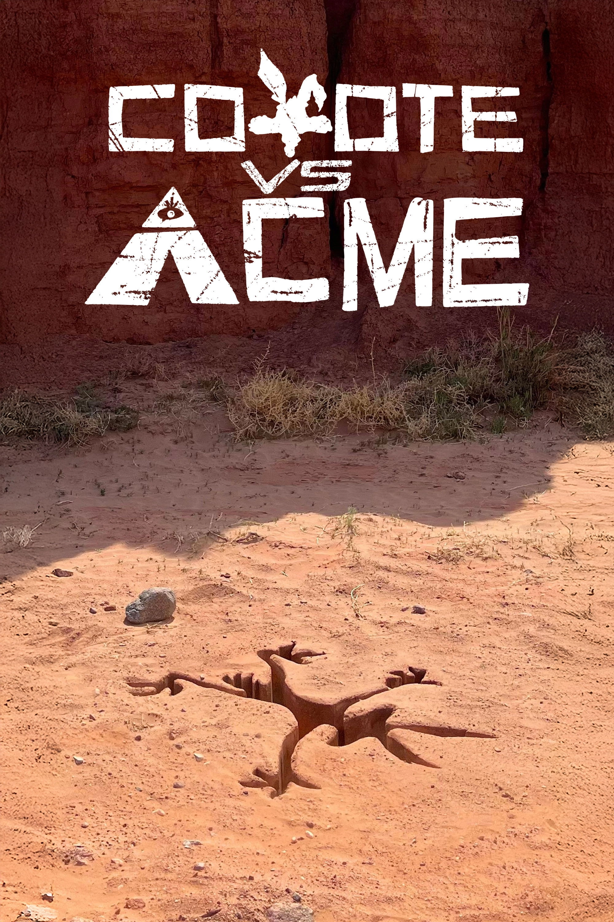 Coyote vs ACME