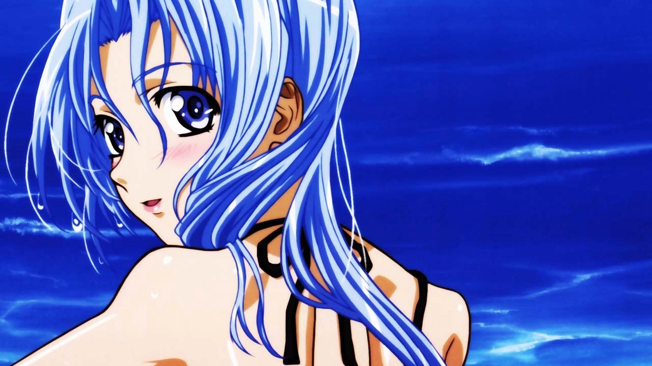 Hanaukyou Maid Team: La Verite