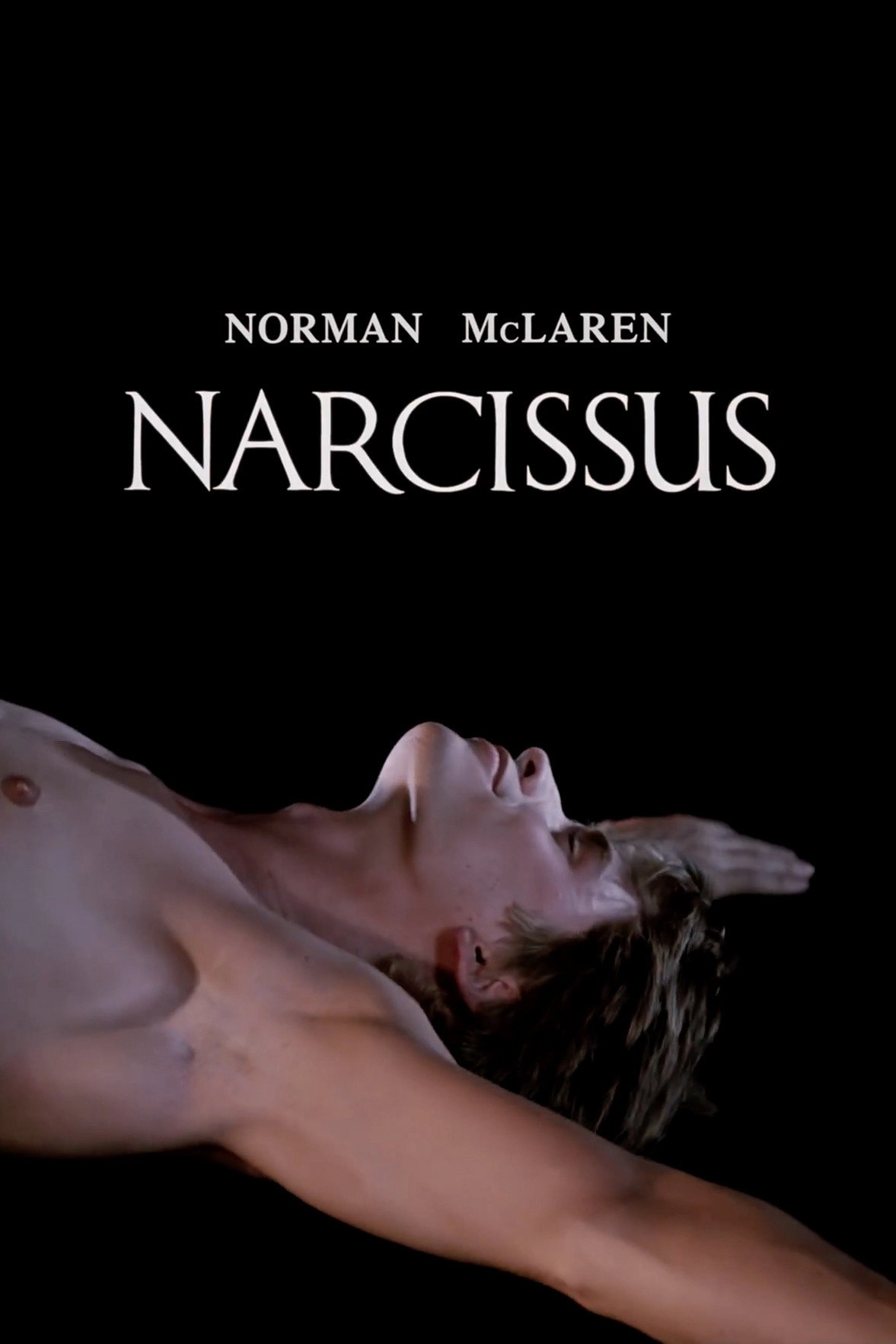 Narcissus