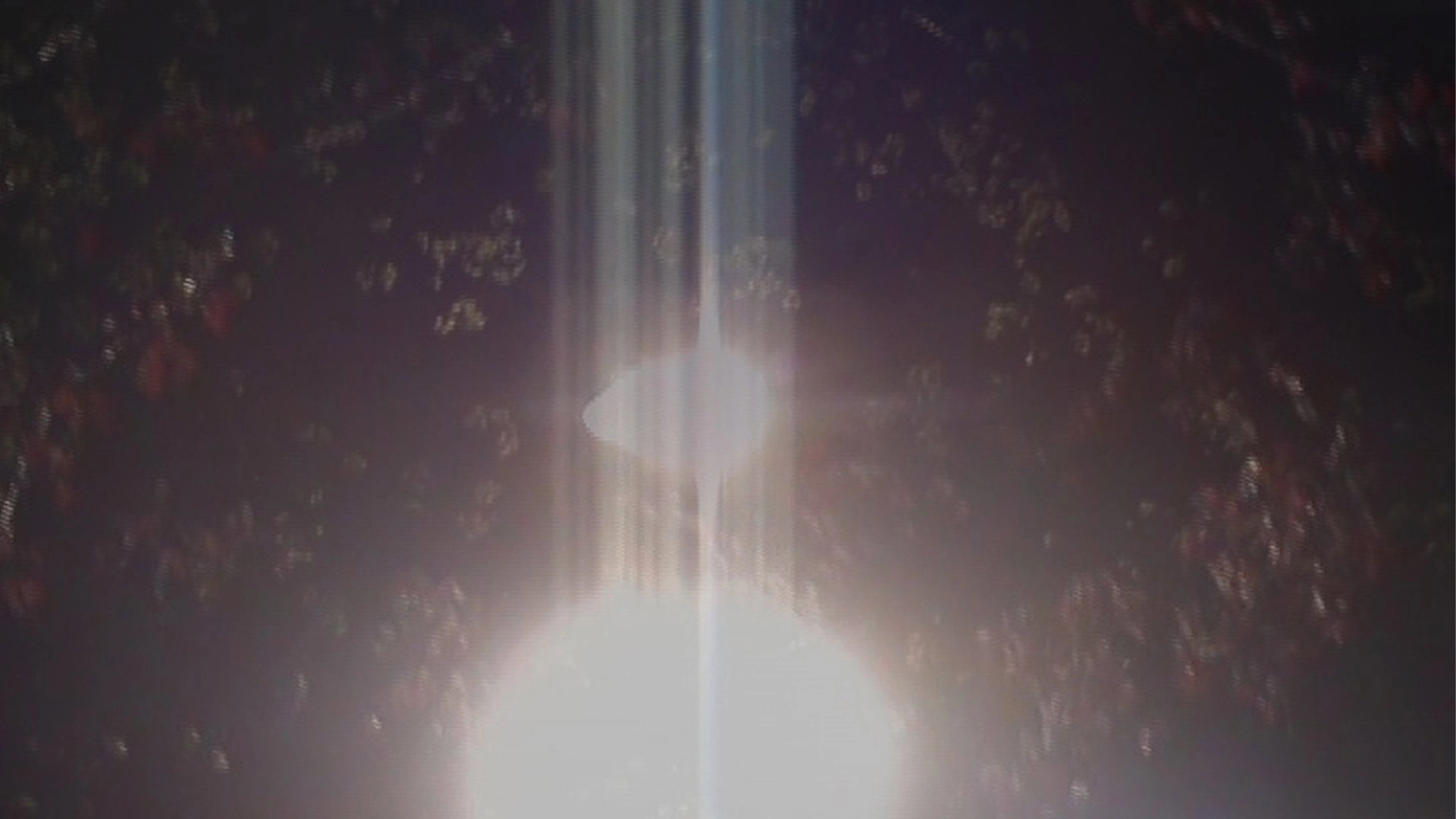 light blossom