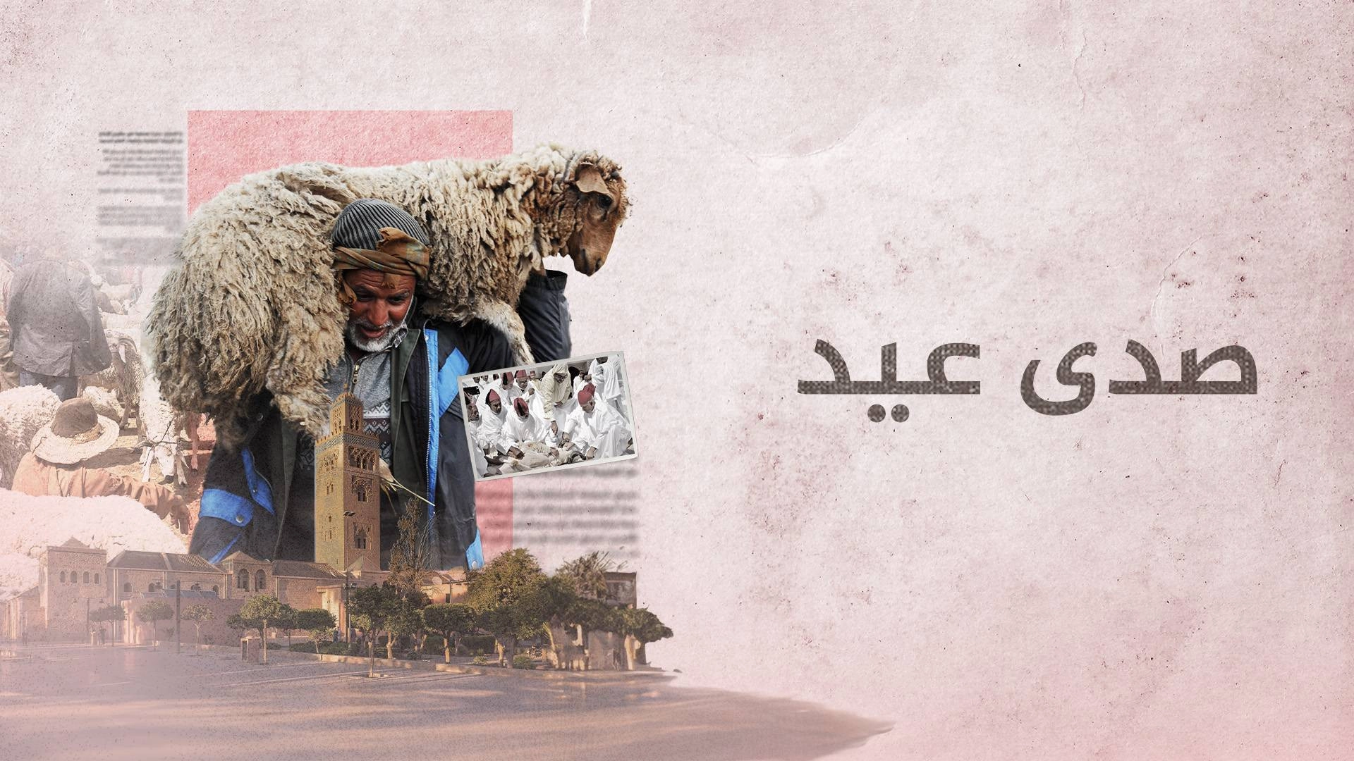 ‏صدى عيد