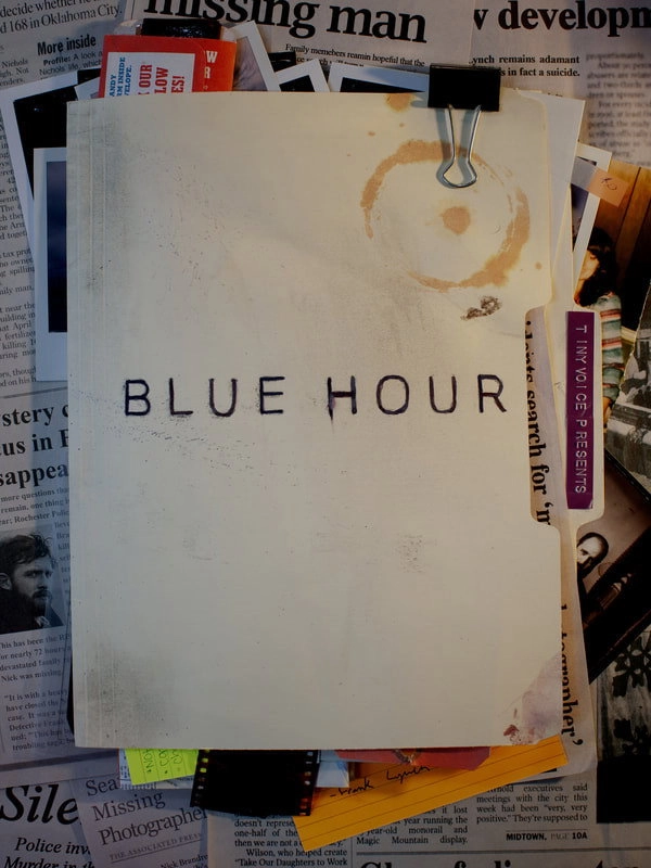Blue Hour: The Disappearance of Nick Brandreth