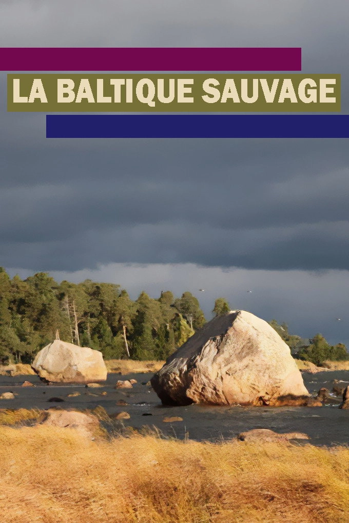 Wildes Baltikum