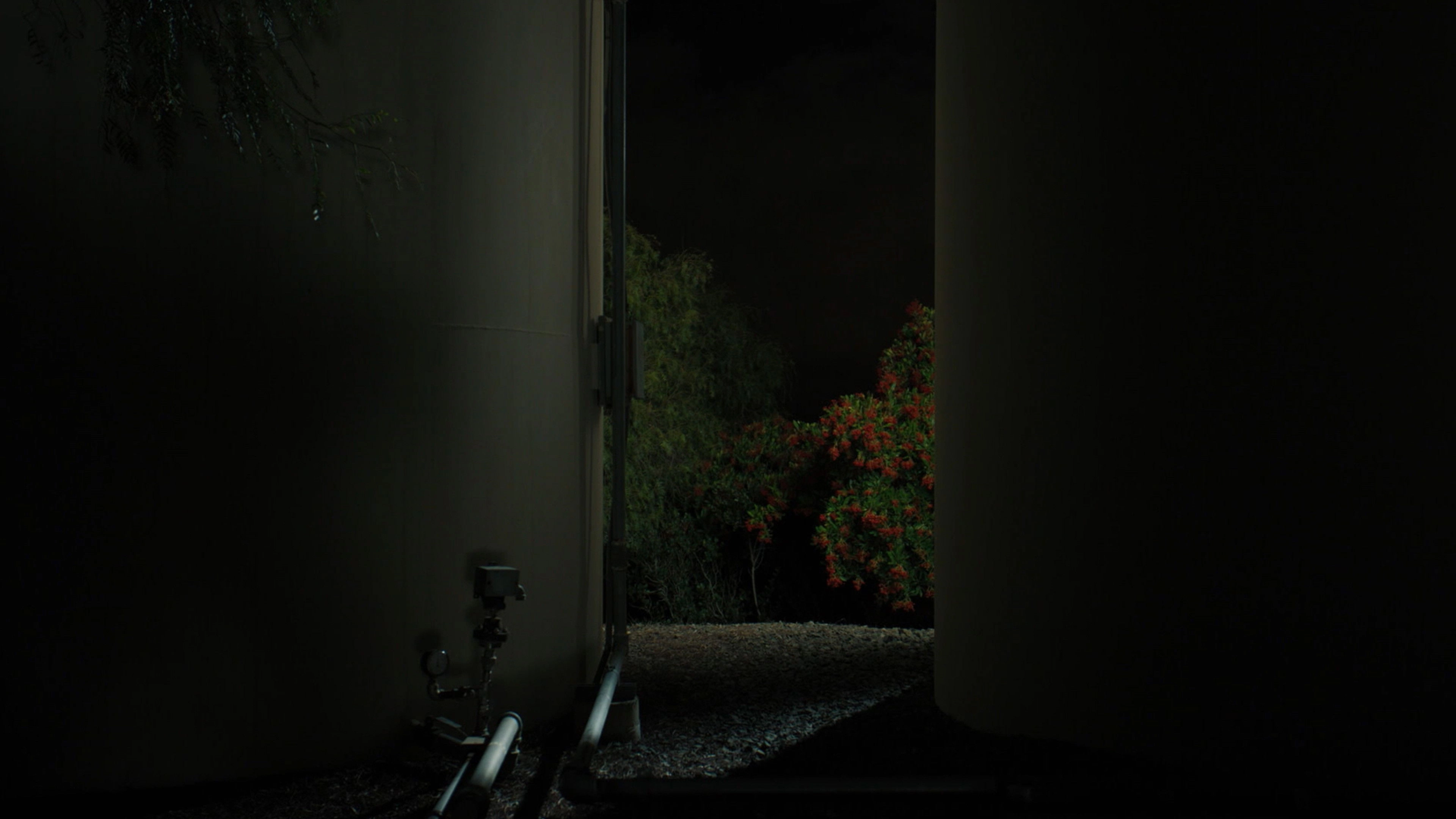 Tomorrow, You Pretty Ghost