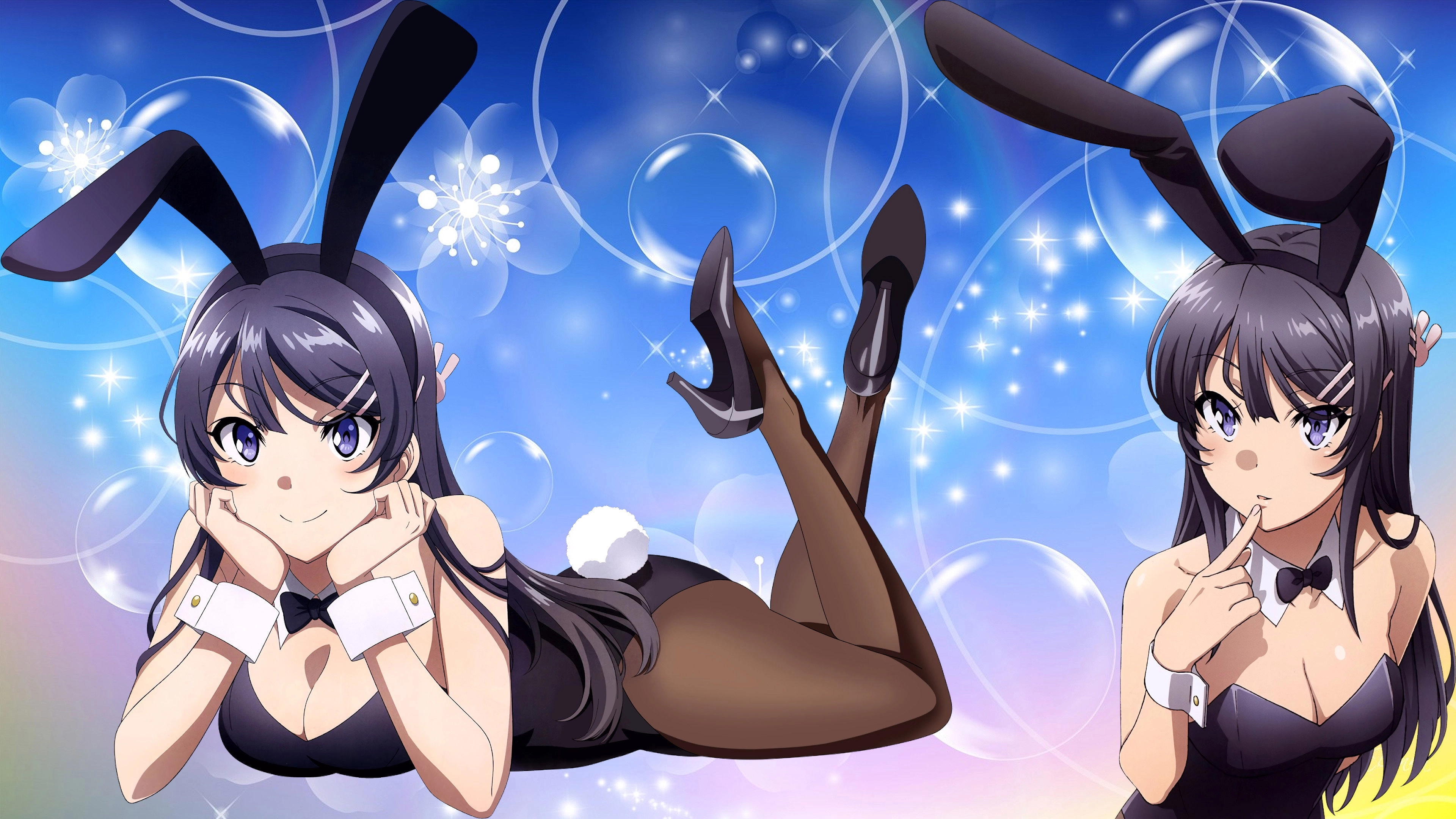 Rascal Does Not Dream of Bunny Girl Senpai