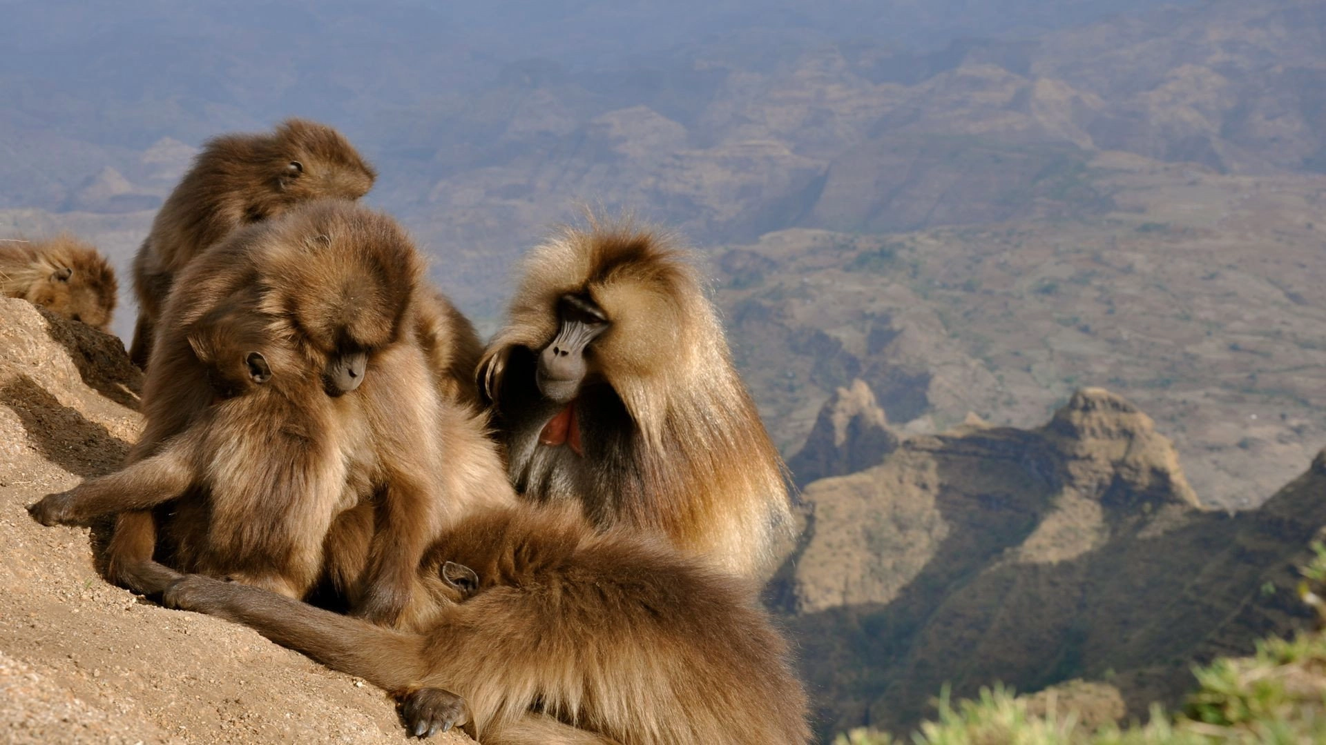 Africa's Hidden Wonders