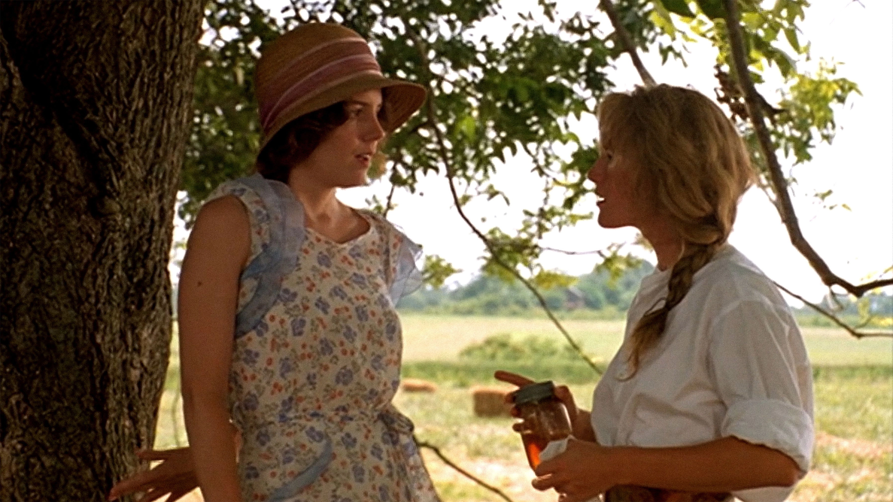 Fried Green Tomatoes