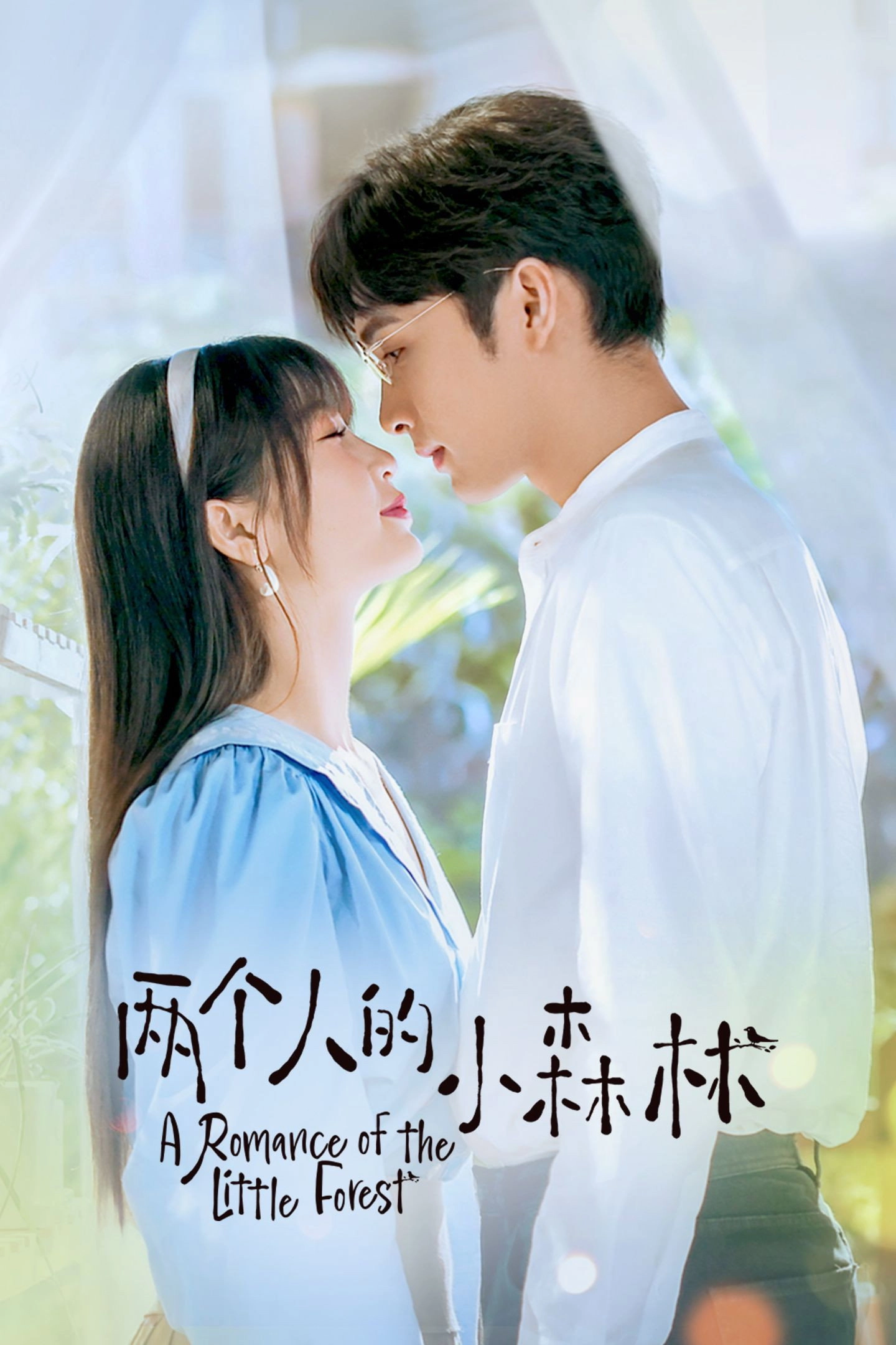 A Romance of the Little Forest
