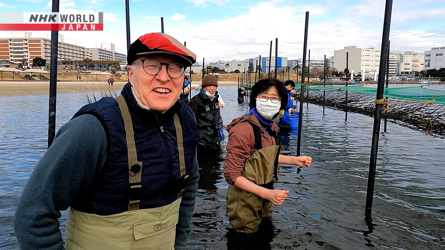 Dive in Tokyo