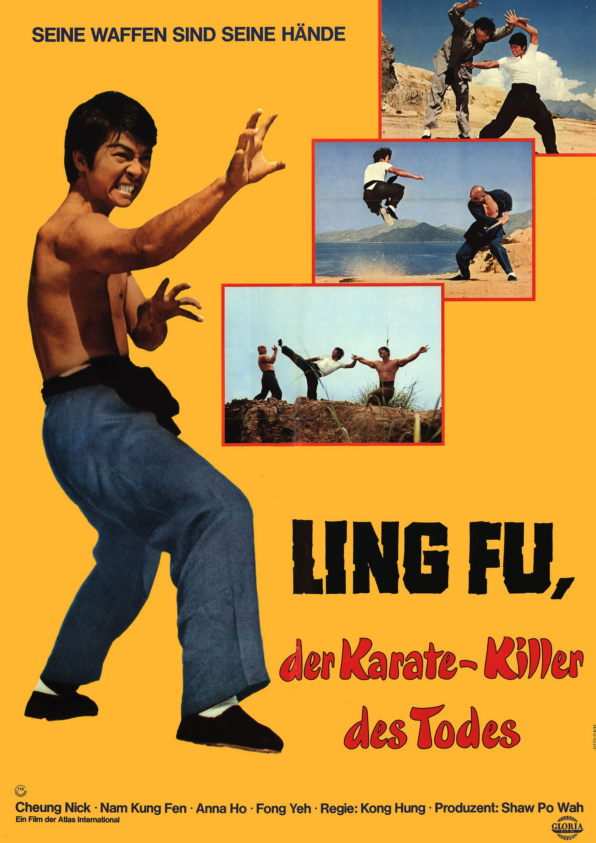 Super Kung Fu Kid