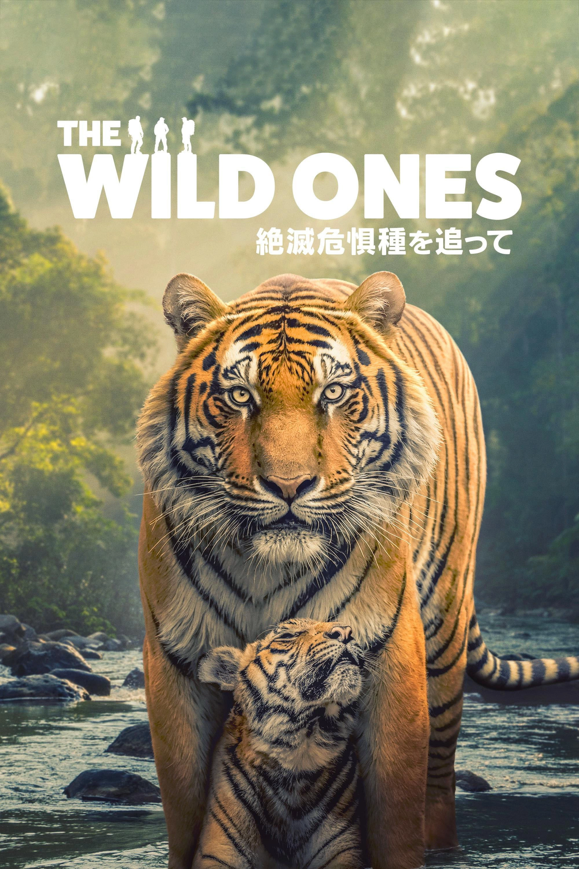 The Wild Ones