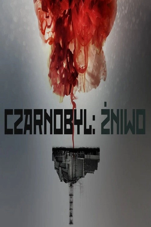 Chornobyl: Aftermath
